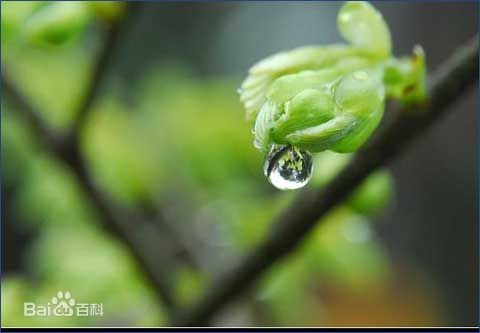 喜訊！2017新年開(kāi)工第一份中標(biāo)通知書(shū)